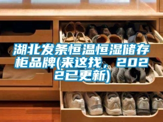 知識百科湖北發(fā)條恒溫恒濕儲存柜品牌(來這找，2022已更新)