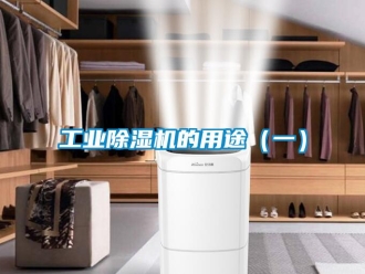 企業(yè)新聞工業(yè)除濕機的用途（一）