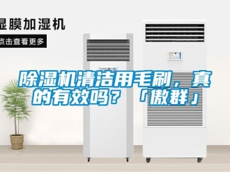 行業(yè)新聞除濕機(jī)清潔用毛刷，真的有效嗎？「傲群」