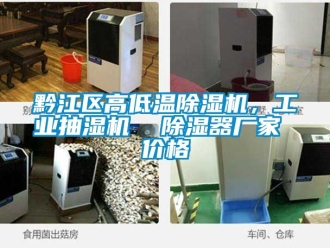 企業新聞黔江區高低溫除濕機，工業抽濕機  除濕器廠家 價格