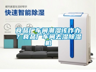 企業(yè)新聞食品廠車間潮濕該咋辦？食品廠車間去濕除濕機