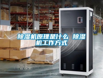 行業新聞除濕機原理是什么 除濕機工作方式