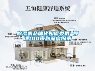 企業新聞除濕機品牌化如何發展　　舒適100帶您深度探索