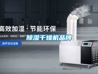 企業新聞除濕干燥機品牌