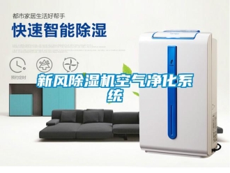知識百科新風除濕機空氣凈化系統