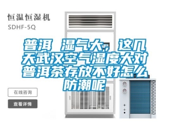 常見問題普洱 濕氣大，這幾天武漢空氣濕度大對普洱茶存放不好怎么防潮呢