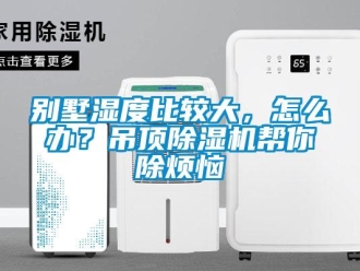 常見問題別墅濕度比較大，怎么辦？吊頂除濕機幫你除煩惱
