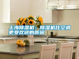 知識百科上海除濕機(jī)：除濕機(jī)比空調(diào)更受歡迎的原因