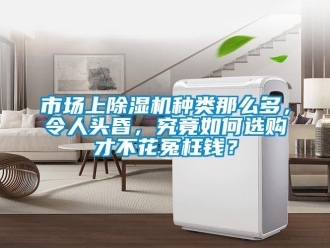 常見問題市場上除濕機種類那么多，令人頭昏，究竟如何選購才不花冤枉錢？