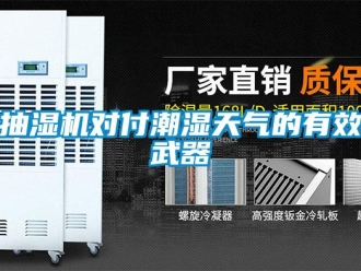 企業新聞抽濕機對付潮濕天氣的有效武器