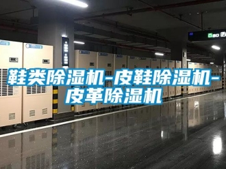 行業新聞鞋類除濕機-皮鞋除濕機-皮革除濕機