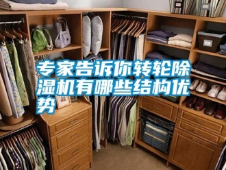 知識(shí)百科專(zhuān)家告訴你轉(zhuǎn)輪除濕機(jī)有哪些結(jié)構(gòu)優(yōu)勢(shì)
