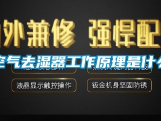 行業新聞空氣去濕器工作原理是什么