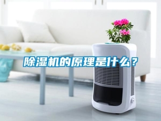 企業(yè)新聞除濕機(jī)的原理是什么？