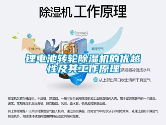常見問題鋰電池轉輪除濕機的優越性及其工作原理