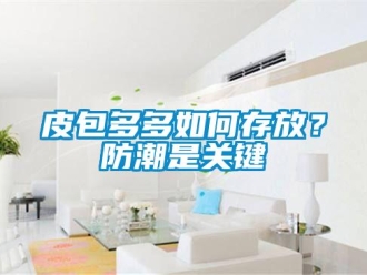 常見問題皮包多多如何存放？防潮是關鍵