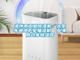 常見問題漳州市工業除濕機，大型車間地下室抽濕機  配電房倉庫除濕器