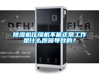 行業新聞除濕機壓縮機不能正常工作是什么原因導致的？