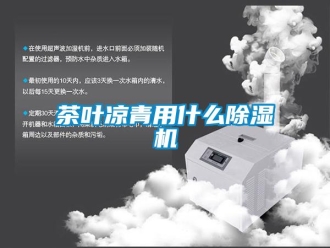 企業(yè)新聞茶葉涼青用什么除濕機(jī)