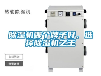 行業新聞除濕機哪個牌子好，選擇除濕機之王