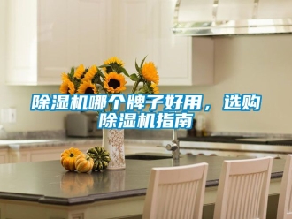 行業新聞除濕機哪個牌子好用，選購除濕機指南