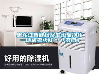知識百科黑龍江智能檔案室恒溫凈化一體機(jī)多少錢＊「多圖」