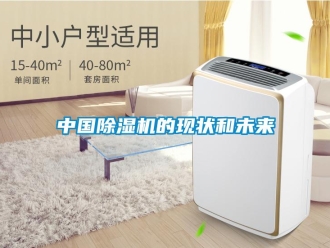 知識百科中國除濕機的現狀和未來