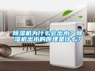 行業(yè)新聞除濕機(jī)為什么會(huì)出水？除濕機(jī)出水的原理是什么？