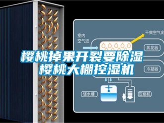 知識(shí)百科櫻桃掉果開(kāi)裂要除濕 櫻桃大棚控濕機(jī)