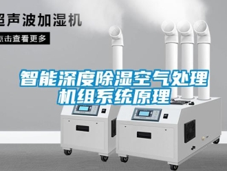 知識百科智能深度除濕空氣處理機組系統原理