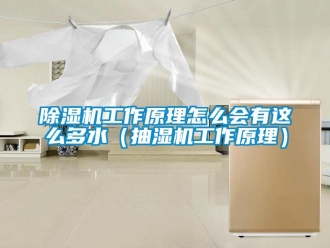 行業新聞除濕機工作原理怎么會有這么多水（抽濕機工作原理）