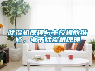 行業新聞除濕機原理與主控板的維修，電子除濕機原理