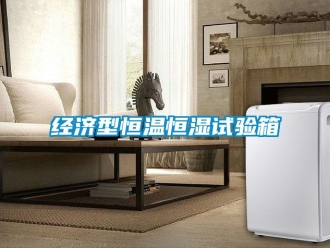 知識百科經濟型恒溫恒濕試驗箱
