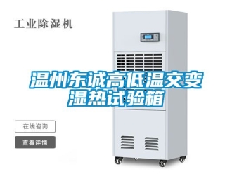 常見(jiàn)問(wèn)題溫州東誠(chéng)高低溫交變濕熱試驗(yàn)箱