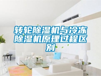 常見問題轉輪除濕機與冷凍除濕機原理過程區別