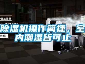 企業(yè)新聞除濕機(jī)操作簡(jiǎn)捷，室內(nèi)潮濕皆可止