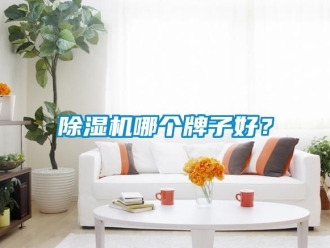 行業新聞除濕機哪個牌子好？