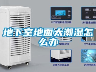常見(jiàn)問(wèn)題地下室地面太潮濕怎么辦