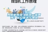如何能除濕、新風(fēng)一舉兩得？你只差這個神器