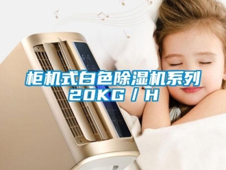 行業新聞柜機式白色除濕機系列20KG／H