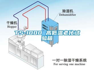 常見問題TS-1000 高低溫老化試驗箱