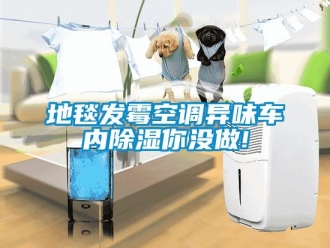 企業新聞地毯發霉空調異味車內除濕你沒做!