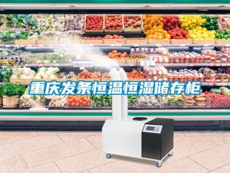 知識百科重慶發條恒溫恒濕儲存柜