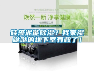 企業新聞硅藻泥能除濕？我家濕噠噠的地下室有救了！