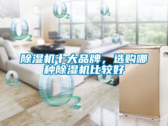 企業(yè)新聞除濕機(jī)十大品牌，選購哪種除濕機(jī)比較好
