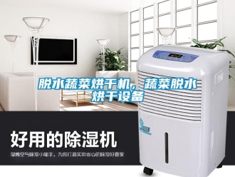 知識百科脫水蔬菜烘干機，蔬菜脫水烘干設備
