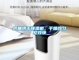 知識百科杏脯烘干排濕機，干燥均勻見效快