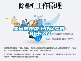 企業新聞黑河防爆型工業除濕機 BCFZ10