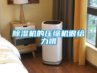 常見問題除濕機(jī)的壓縮機(jī)很給力哦