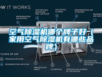 企業(yè)新聞空氣除濕機哪個牌子好（家用空氣除濕機有哪些品牌）